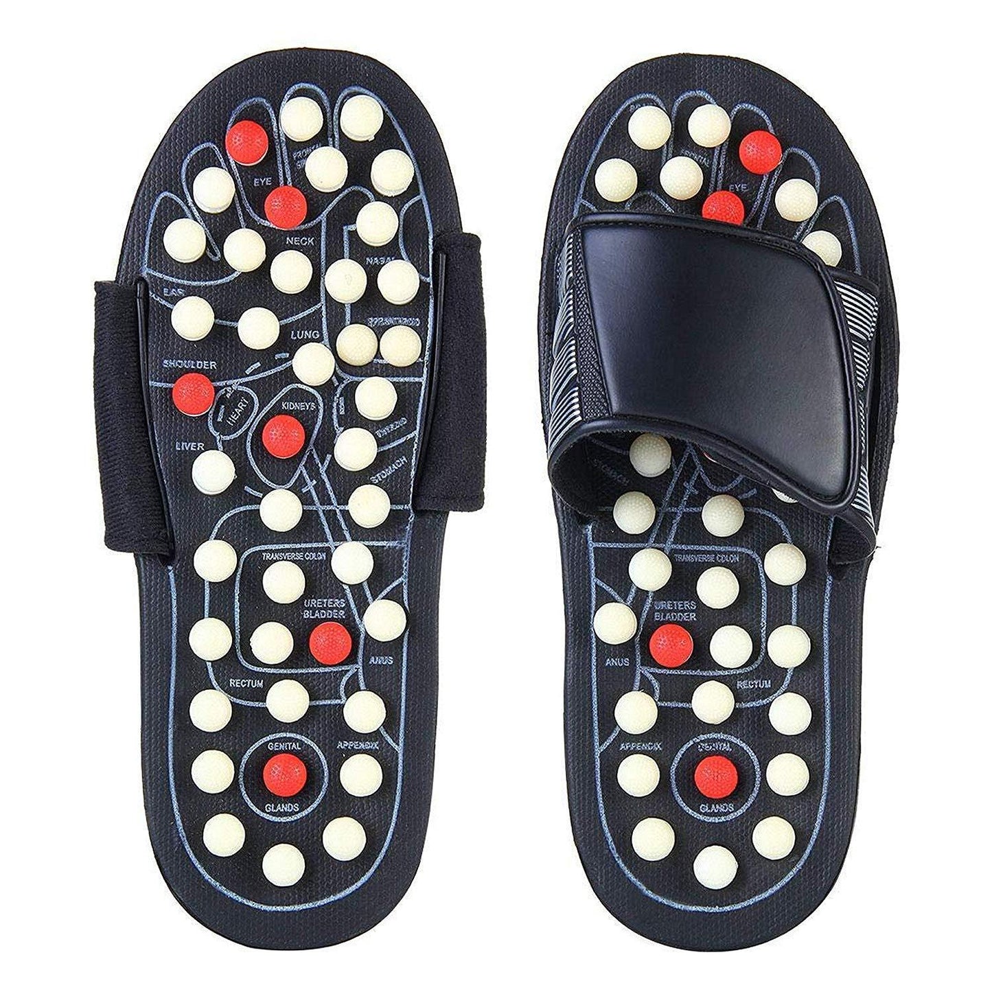 Spring Acupressure and Magnetic Therapy Accu Yoga Paduka